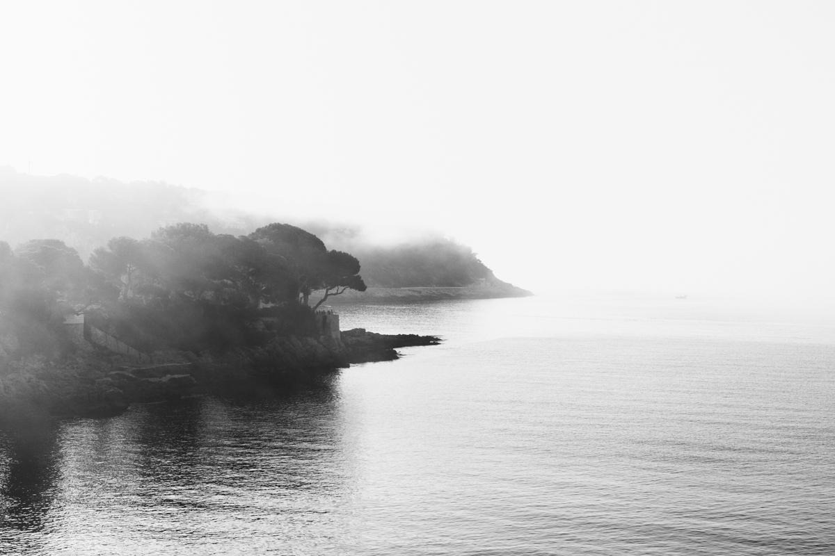 Black and White | Landscape Photography | France | Mist