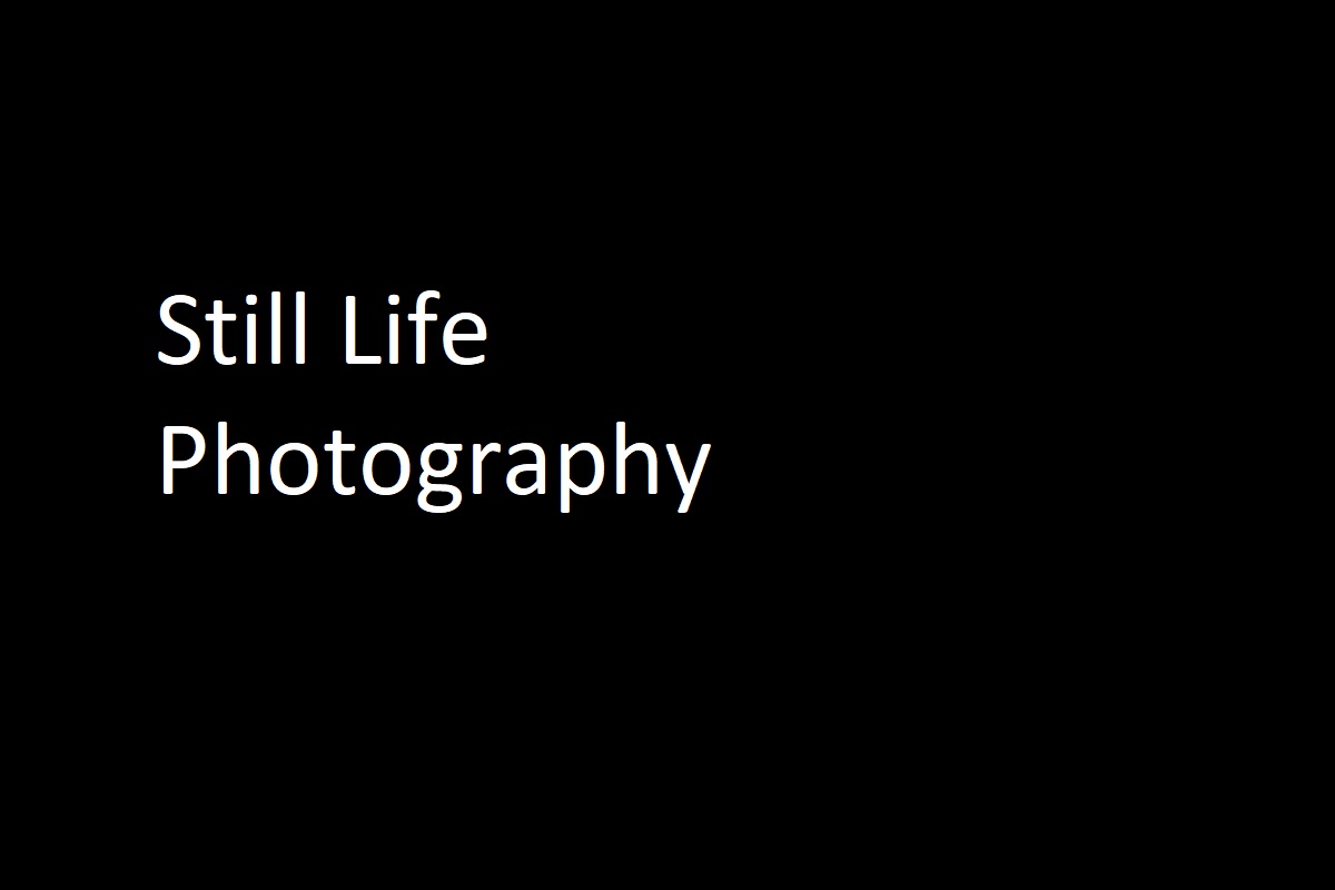 Still Life Photography